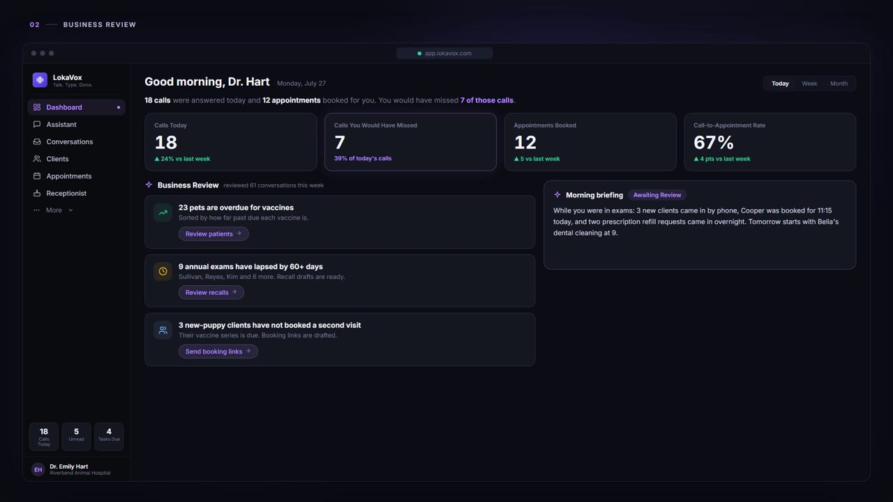 Business Review - LokaVox demo screen